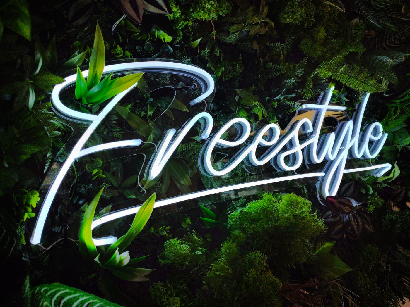 Freestyle web design neon sign logo on a foliage background.