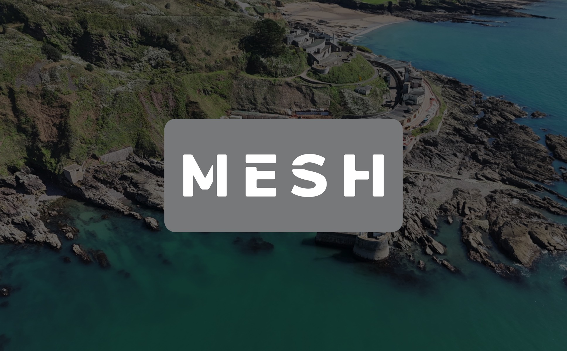 Mesh